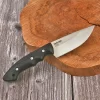 Klecker DK-151 Abiqua Hunter Fixed Blade Knife, 7Cr17 Blade, Glass Filled Nylon Handle with Gut Hook and Kydex Sheath