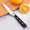 Tonife KK1001 Paring Knife,Peeling Knife with Pakkawood Handle,3.5 Inch Kitchen Knife for Fruit and Vegetable